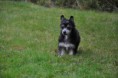 /album/fotogalleri-kelly-sookies-blossom-hill-skye/a68952-862316917125654-2744765399415454472-n-jpg1/