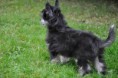 /album/fotogalleri-kelly-sookies-blossom-hill-skye/a10255616-862316590459020-5555120880025623062-n-jpg1/