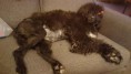 /album/fotogalleri-gallery/a12066067-10153597718840549-8955658388379845355-n-jpg1/