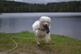/album/fotogalleri-gallery/dsc-4701-jpg1/