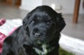 /album/fotogalleri-eventyrvannets-blinx-blabaerdronning-emma/dsc-7746-jpg/