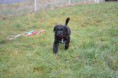 /album/fotogalleri-eventyrvannets-blinx-blabaerdronning-emma/dsc-8177-jpg/