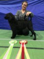 /album/fotogalleri-eventyrvannets-blinx-blabaerdronning-emma/a943859-10153952516985549-5661226565349789575-n-jpg1/