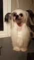 /album/fotogalleri-ridgecrests-drop-dead-gorgeous-trinity/a20160301-212018-jpg/