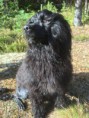 /album/fotogalleri-eventyrvannets-blinx-blabaerdronning-emma/a22635257-10155570732270549-516707157-n-jpg/